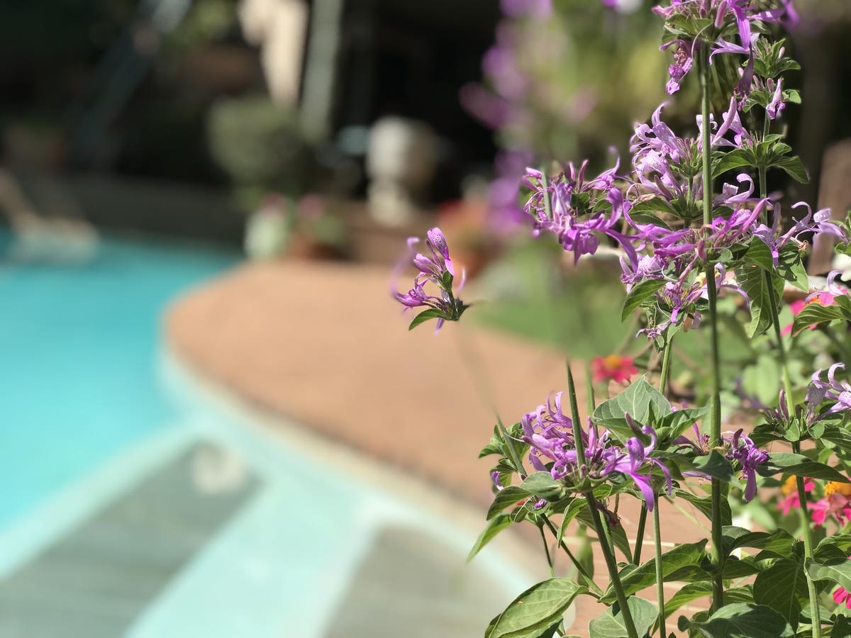 Claires Of Sandton Luxury Guest House Johannesburg Exterior photo